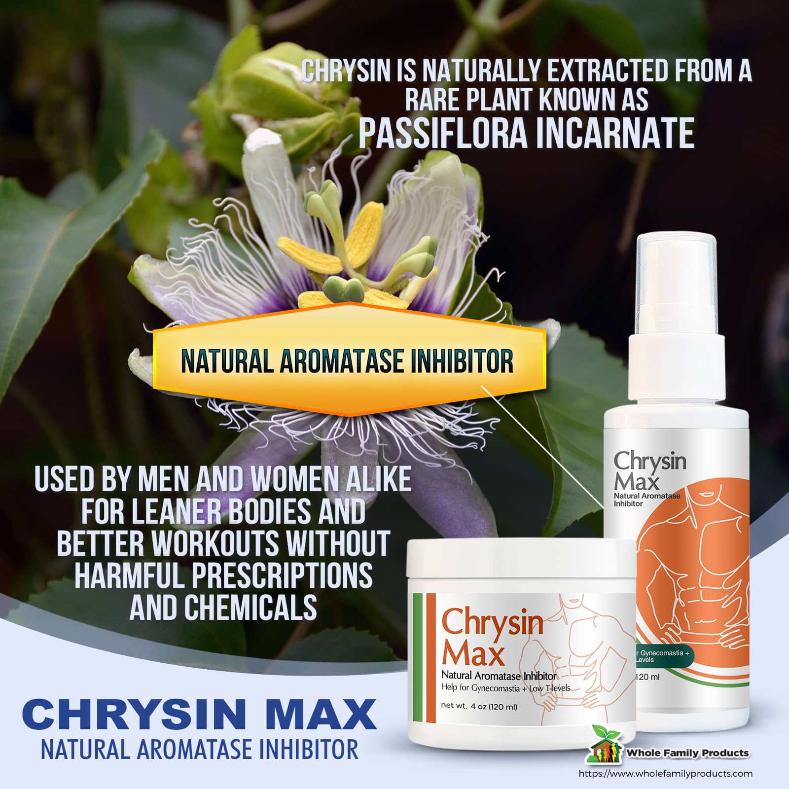 Chrysin Max Cream Natural Aromatase Inhibitor Infographics